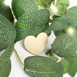 heart close-up.jpg