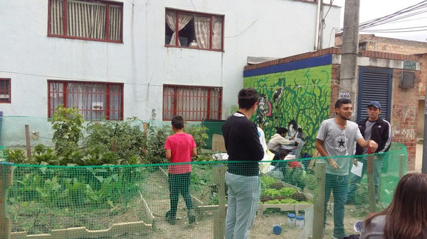 Actividad de la fundación