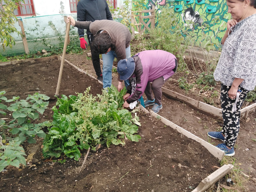 Huerta comunitaria de la Fundación Ecológica Bacatá