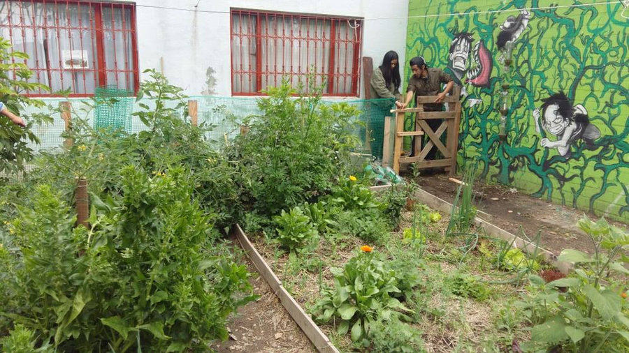 Actividad de la fundación