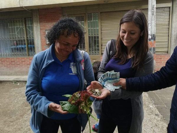 Trabajo en la huerta