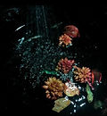 sadeen Al Kateeb 12 heworth Grange Honourable mention.jpg