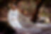 Jazmine Ross Curater and Guide.jpg