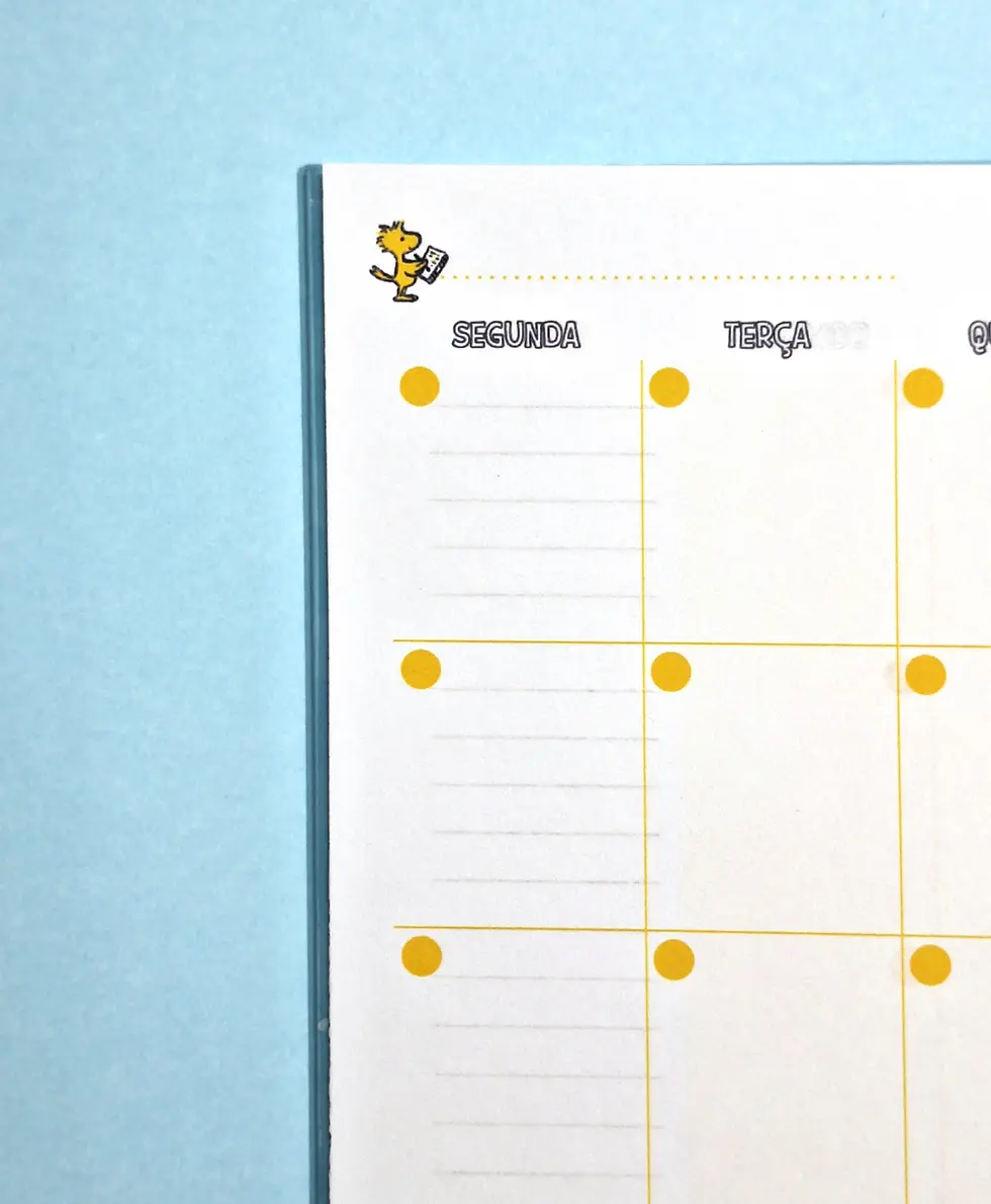Miniatura: Planner Esnupi | Caderno Planner Sem Data