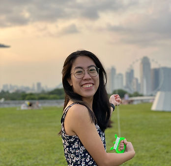 RESET Project Manager