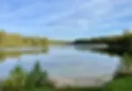 4222124651078080.webp