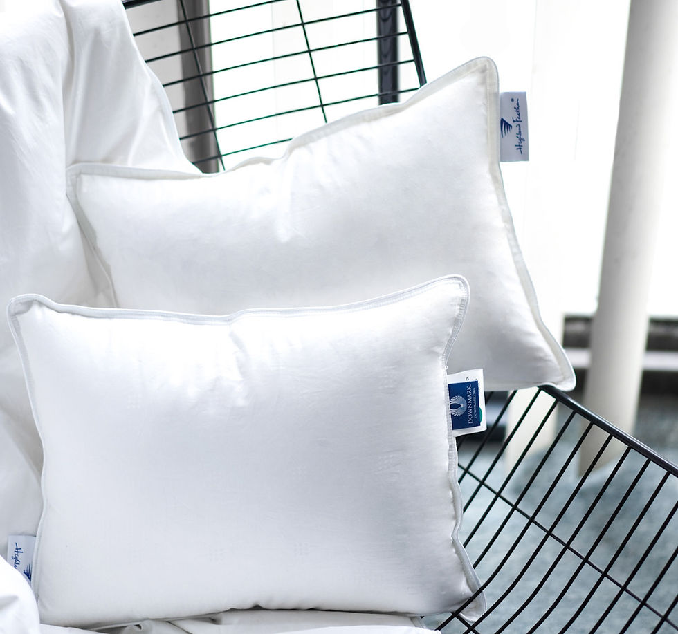 Thumbnail: Feather Travel Pillow