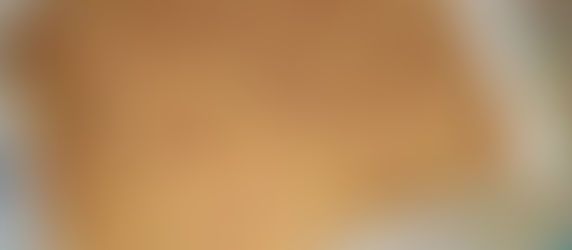 CARNE A LA PARMENTIER