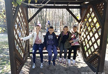 IMG_20191018_114639.jpg