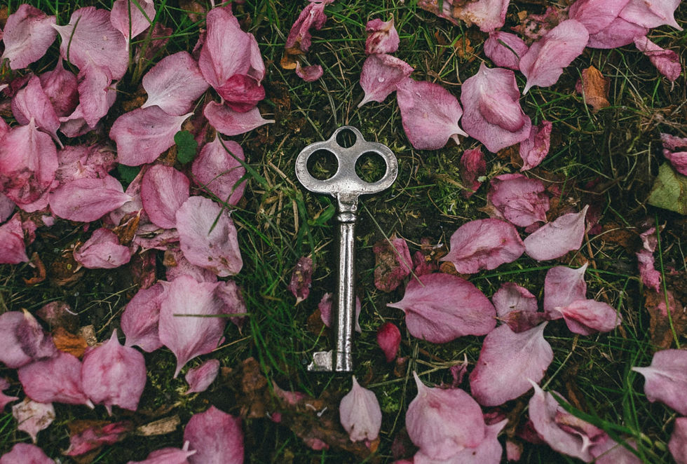 mutluluk, huzur, anlam