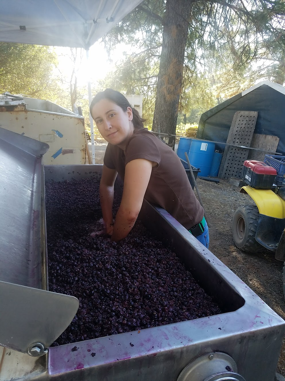 WineMaking.png