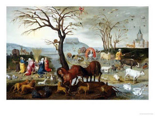 ANIMAIS SÃO DE DEUS, A BESTIALIDADE É DOS HOMENS! SOMOS TODOS NAZISTAS?