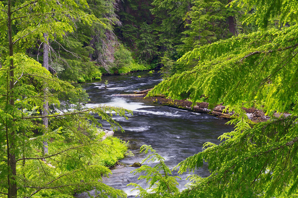 Rogue_River-1