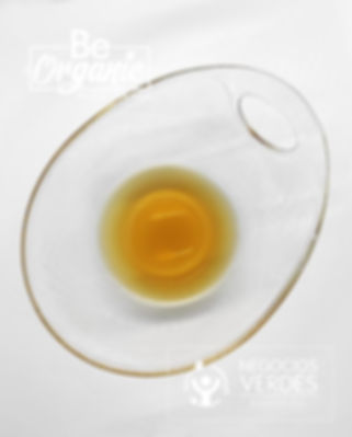 Extracto de cebolla roja