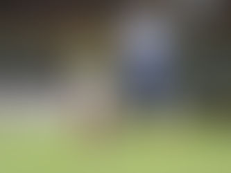 Portuguesa perde para o São Caetano no Canindé