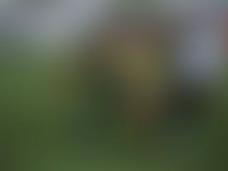 Portuguesa realiza treino no Estádio Bruno José Daniel