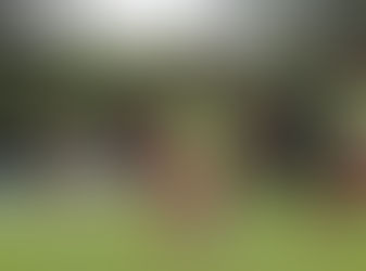 Focado e feliz, Feijão vê Lusa pronta para alcançar objetivos