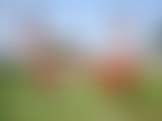 No Canindé, Lusa encerra preparação para duelo decisivo