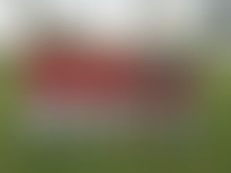 Após dois empates, Portuguesa é eliminada do Paulistão Sub-20