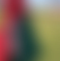 Lusa ajusta últimos detalhes antes de medir forças com o Nacional