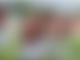 Lusa cede empate ao Água Santa no Canindé