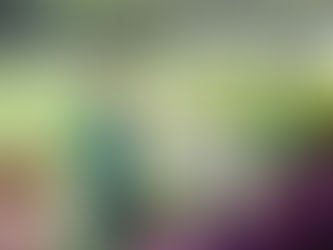 Confira a lista dos inscritos da Lusa para o Paulista A-2