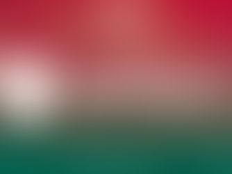 Lusa promove recadastramento para sócios e conselheiros