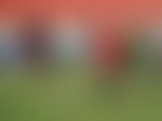 Lusa faz último treino no Canindé antes de confronto com o Oeste