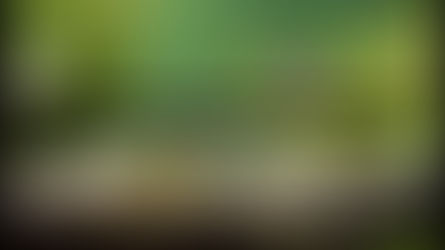 IF WE CONFESS OUR SINS