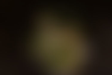 IT IS HE THAT MADE US