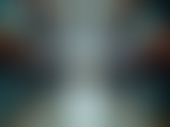 Guide pratique pour louer des bacs de déménagement