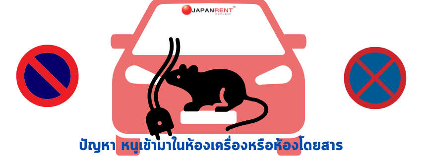 การจอดรถในที่เหมาะสม เพื่อป้องกันหนูเข้ารถยนต์