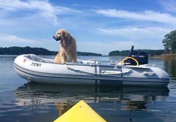 Chelsea in dinghy (2).jpg