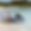 Thumbnail: 9'10" Aluminum RIB w/ Deck (ALA300)