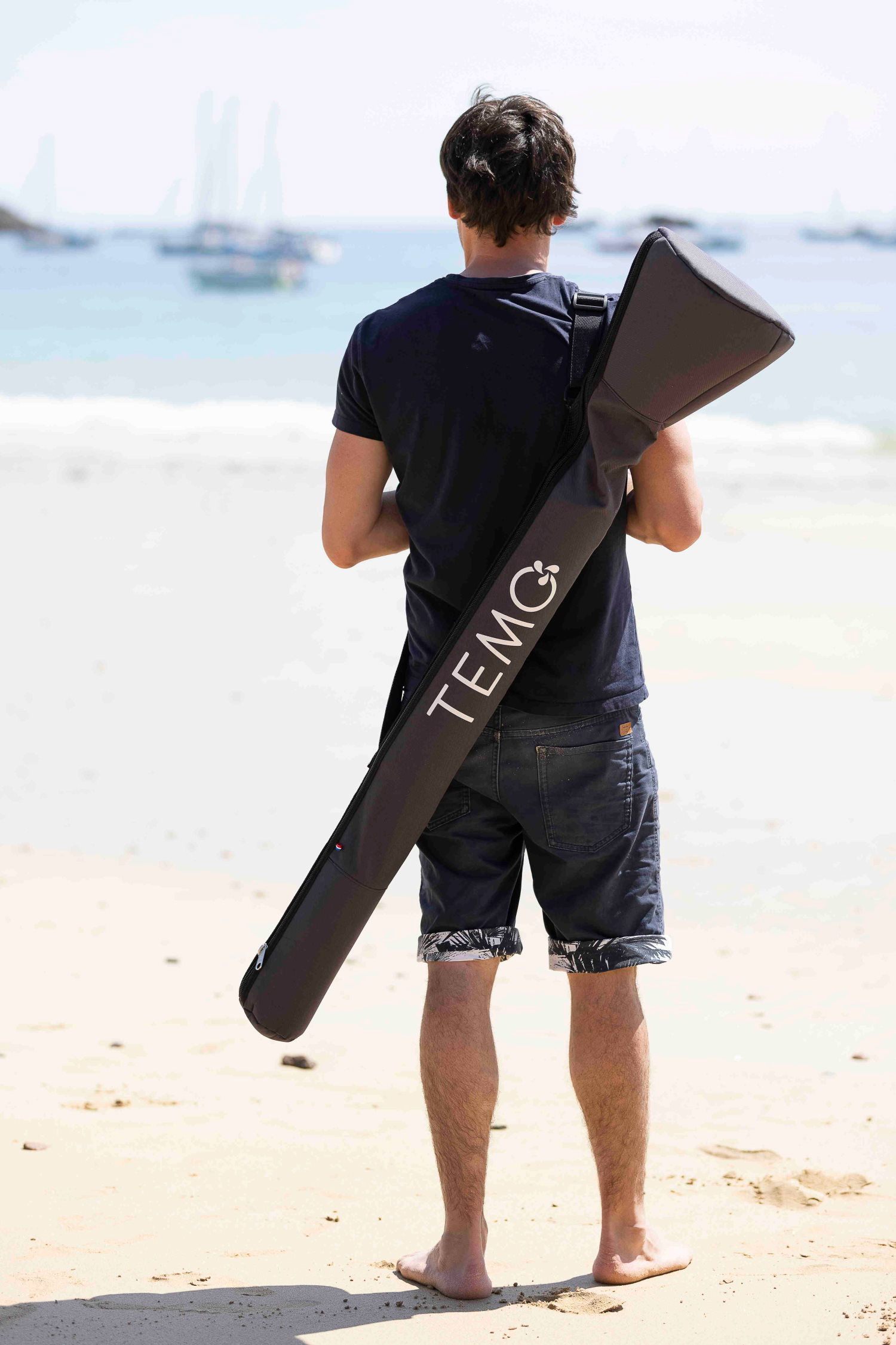 TEMO 450w Electric Motor