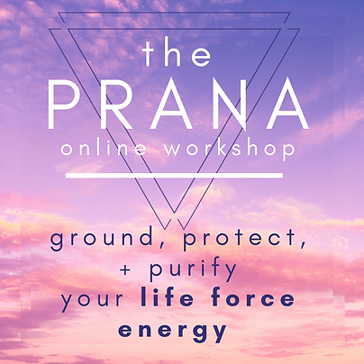 prana course (1).png