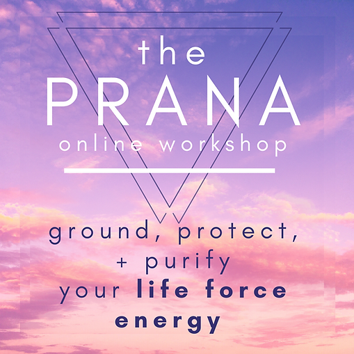 prana course (1).png
