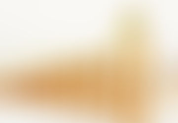 Is your Company Seeing the ROI from your Business Support Application?