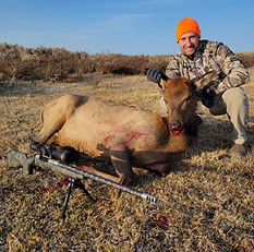 private ranch, hunt, elk, mule deer, pronghorn antelope