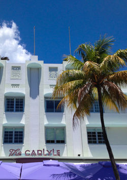Shade Palm South Beach Miami