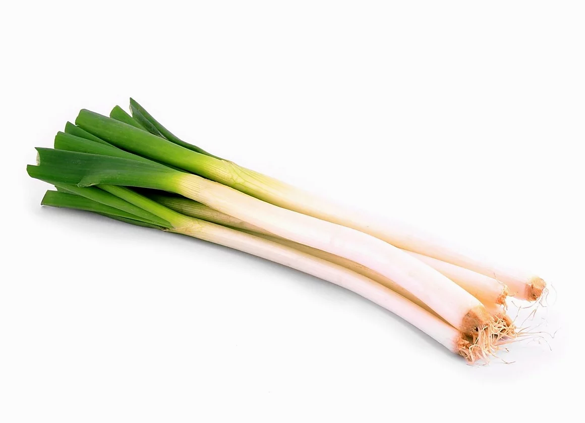 CEBOLLA LARGA X 500 G