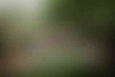 Kalamazoo Family photographer filmmaker