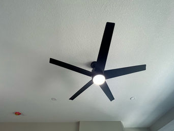 image13.jpeg