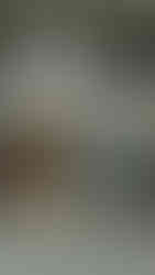 המושבה הגרמנית ירושלים