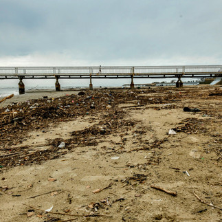 שפך נחל הירקון