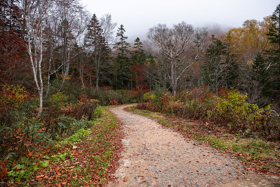 Tsugaike nature park