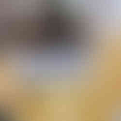 שוק מקורה בנמל תל אביב