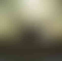 נאושימה אי האומנות יפן