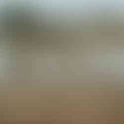 שייט בנחל הירקון