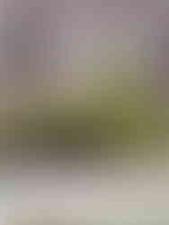 Sierra de Francia Nature Reserve, Spain